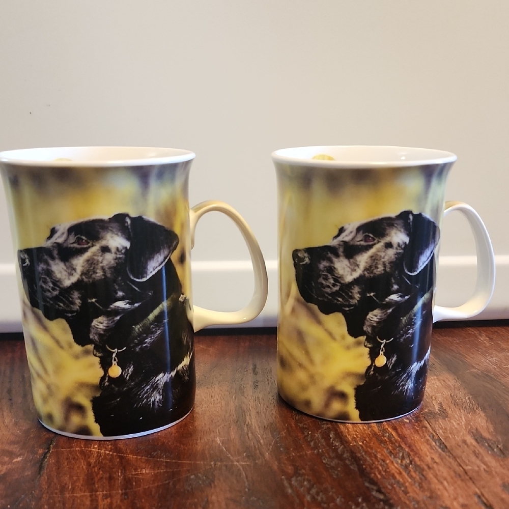 Ashdene Fine Bone China Black Lab Mug Set Of 2